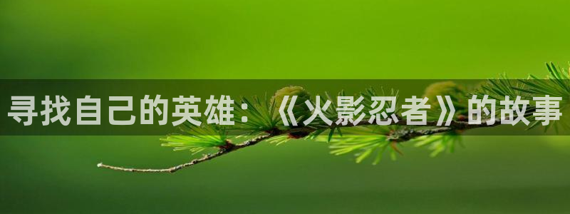 omofun动漫免费观看官网：寻找自己的英雄：《火影忍者》的故事