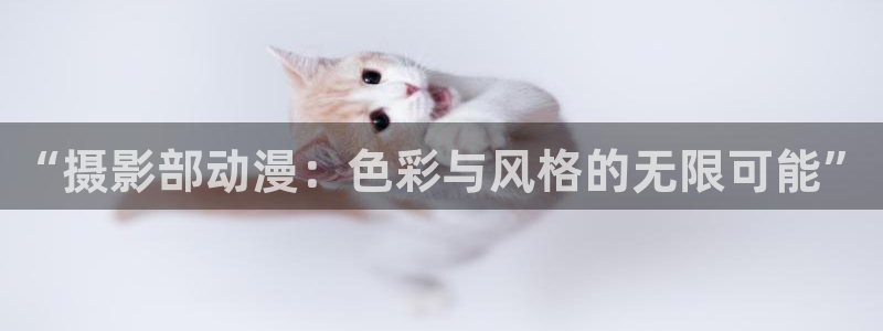 omofun在线观看：“摄影部动漫：色彩与风格的无限可能”