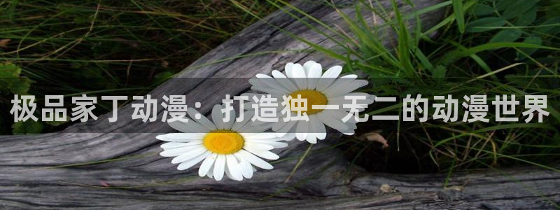 omofun动漫网站入口：极品家丁动漫：打造独一无二的动漫世界