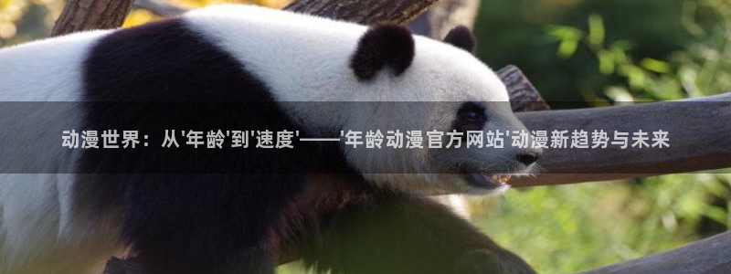 zzzfun动漫动画：动漫世界：从\'年龄\'到\'速度\'——\'年龄动漫官方网站\'动漫新趋势与未来