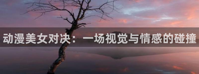 omofun动漫网站：动漫美女对决：一场视觉与情感的碰撞